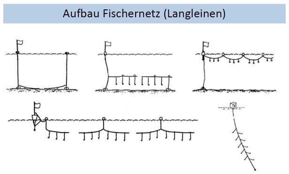 aufbau langleinen