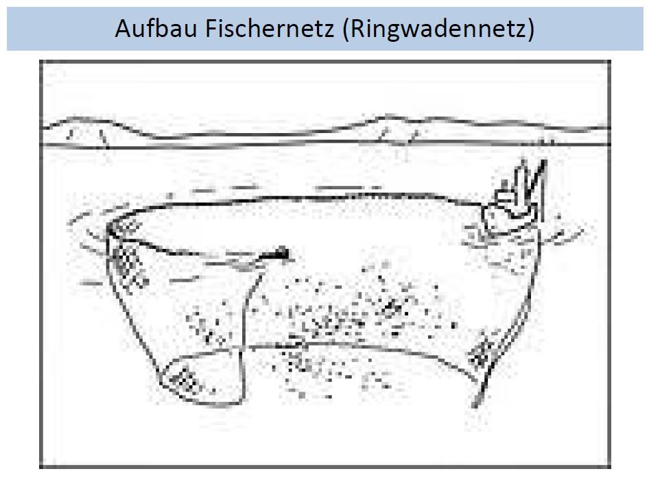 aufbau ringwadennetz