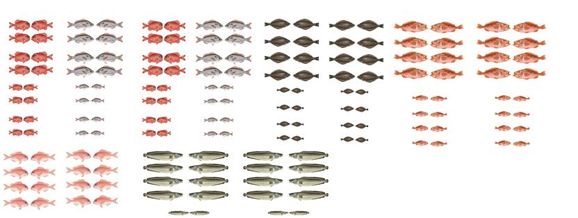 fische 2
