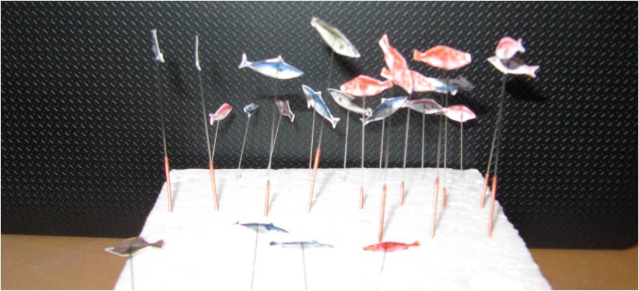 fische fertig2