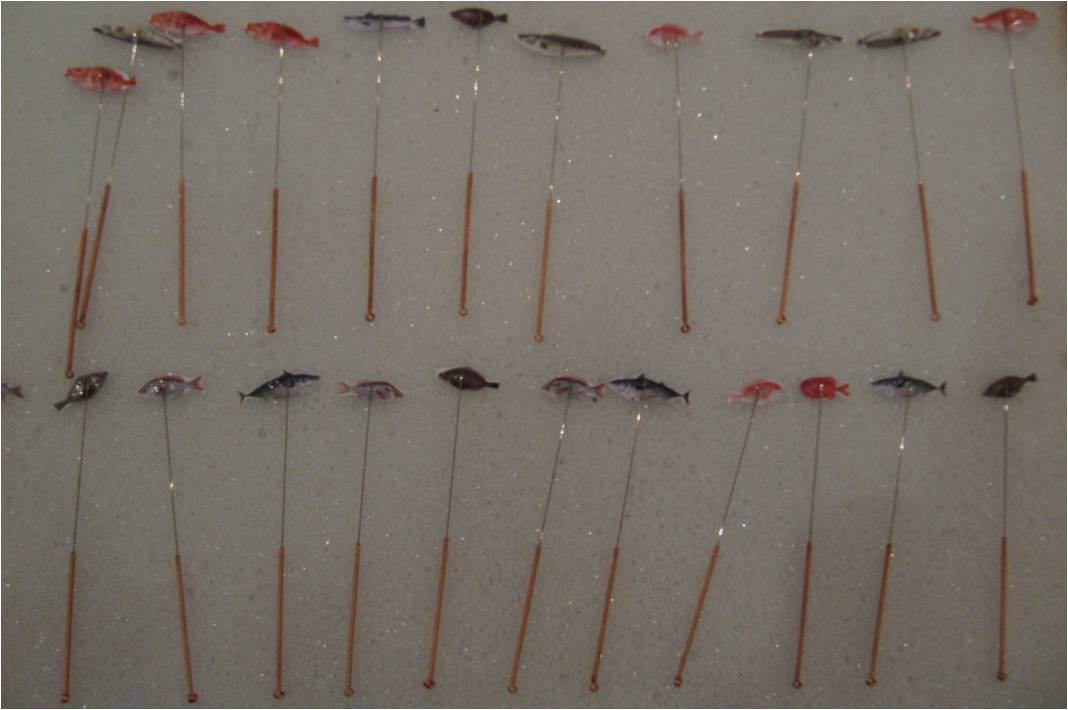 fischezucht 1