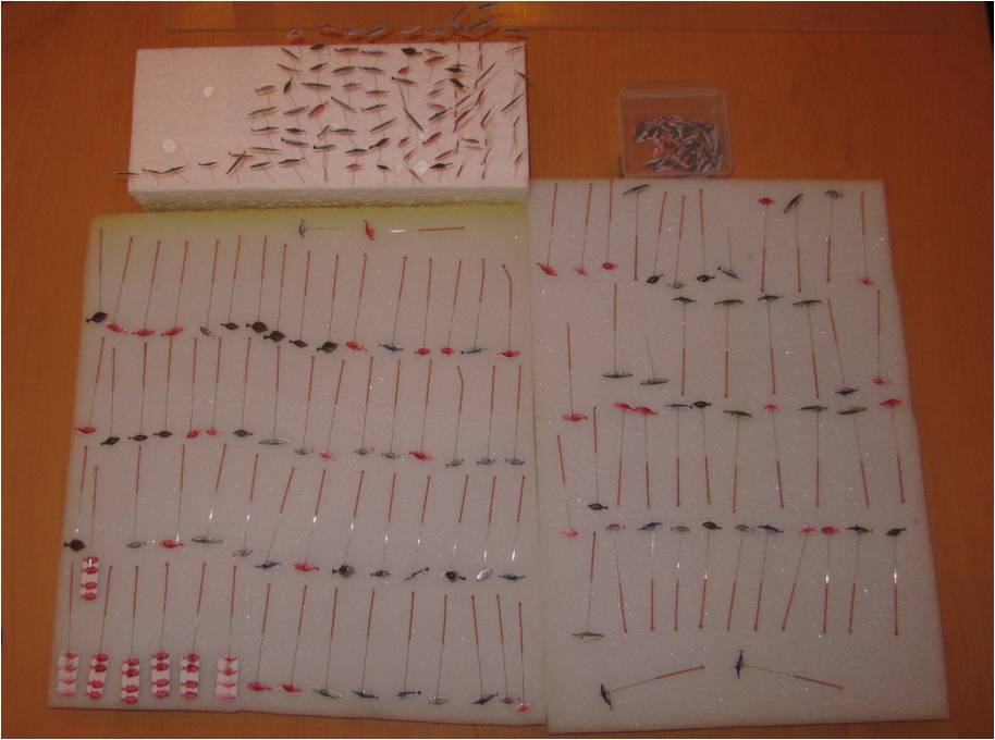 fischezucht 2