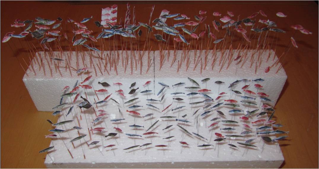 fischezucht 3