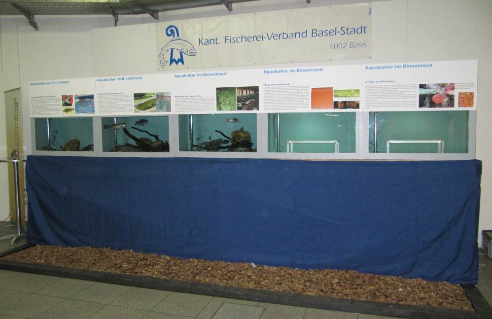stand 3