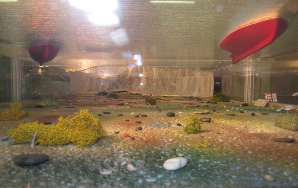 unterwasserwelt 3