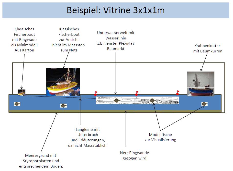 vitrine gross konzept 1